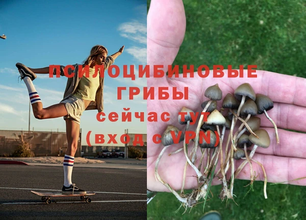 мет Алексеевка