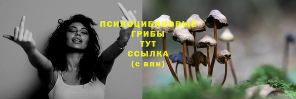 дурь Абдулино