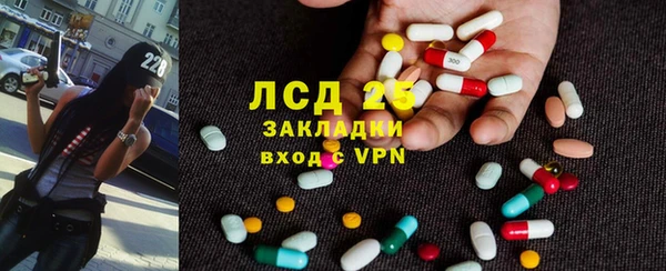 сатива Абинск