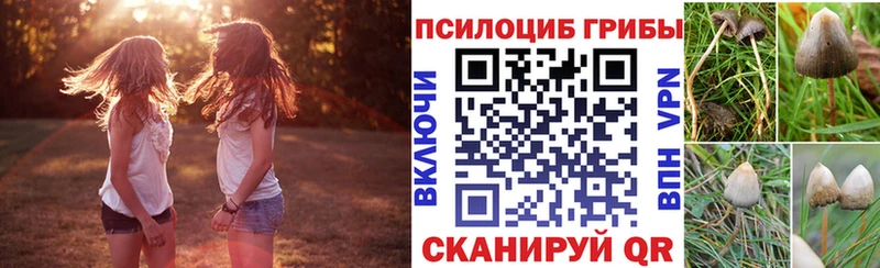 Псилоцибиновые грибы Psilocybine cubensis как найти закладки ссылка на мегу маркетплейс Собинка